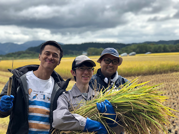 鎌で刈った稲を持つ社員の写真